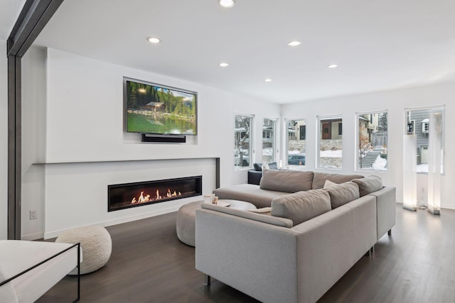 living room featuring dark wood-type flooring