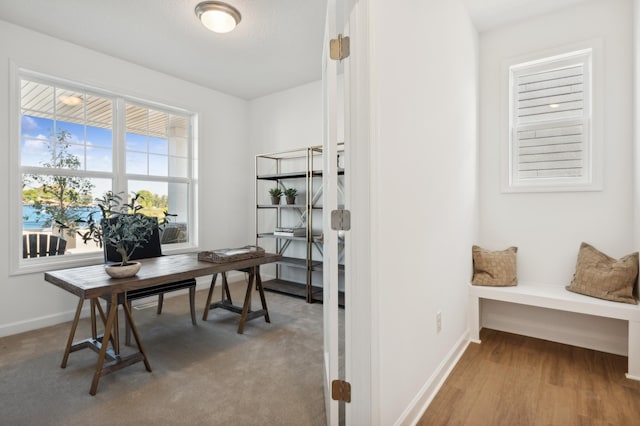 home office featuring wood-type flooring