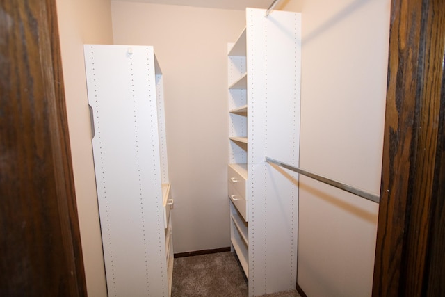 spacious closet with carpet floors