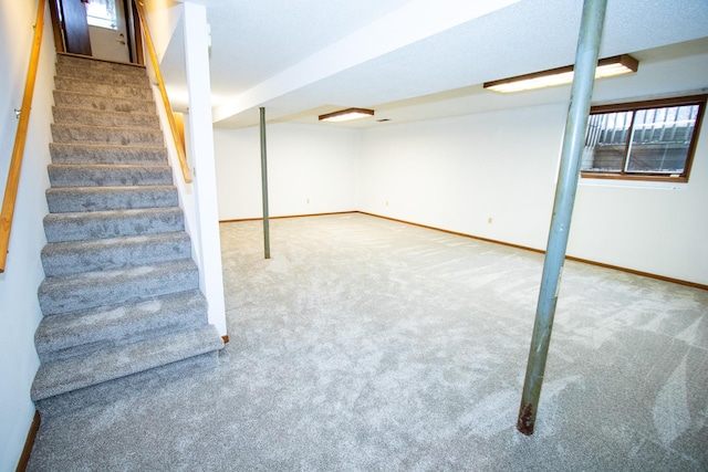 basement featuring carpet floors