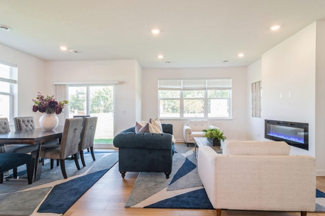 living room with hardwood / wood-style floors and plenty of natural light