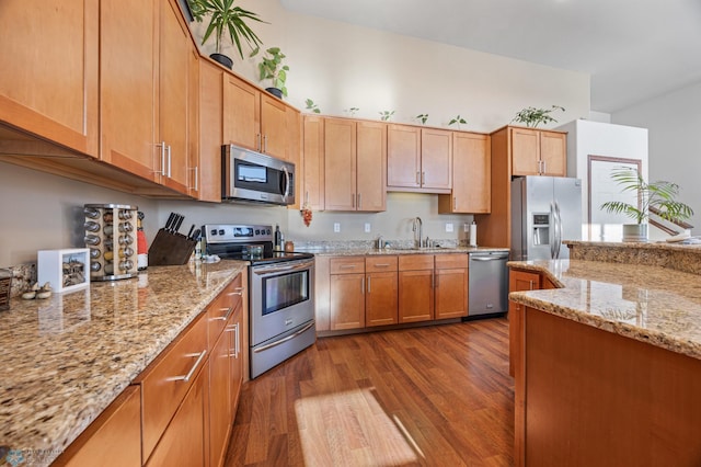 kitchen with appliances with stainless steel finishes, dark hardwood / wood-style flooring, sink, and light stone countertops