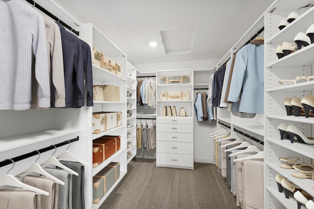 walk in closet with dark colored carpet