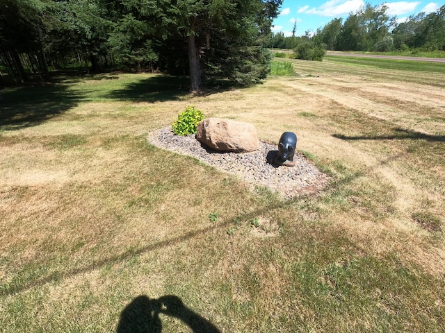 14845 State Road 35, Dairyland, WI 54830 - photo 3