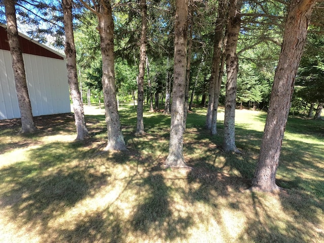 14845 State Road 35, Dairyland, WI 54830 - photo 4