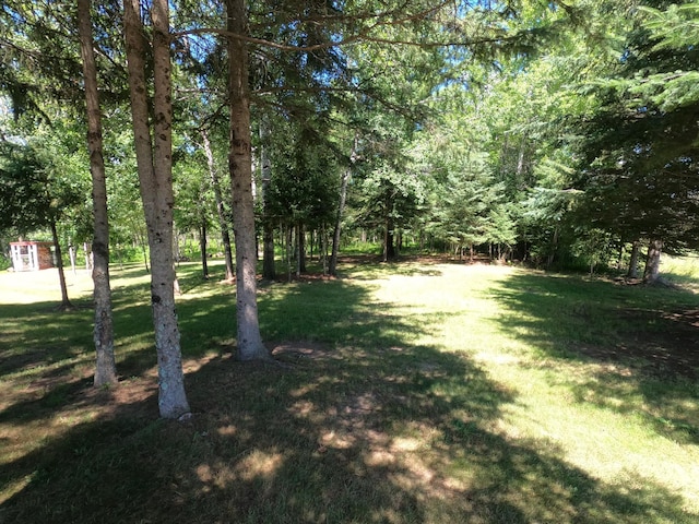 14845 State Road 35, Dairyland, WI 54830 - photo 5