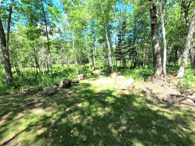 14845 State Road 35, Dairyland, WI 54830 - photo 8