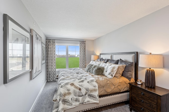 bedroom with carpet and a textured ceiling