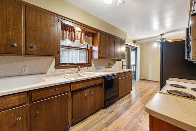 kitchen with light hardwood / wood-style floors, ceiling fan, sink, black dishwasher, and backsplash