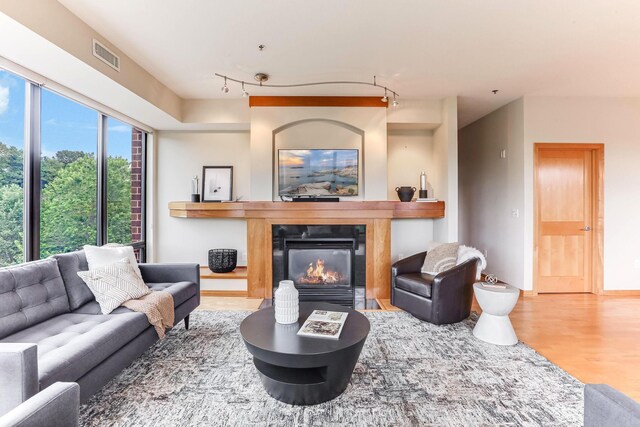 312 Spring St Unit 309, Saint Paul, MN 55102 - living room with wood finished floors, a glass covered fireplace, and rail lighting