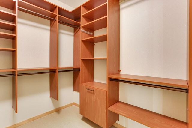 312 Spring St Unit 309, Saint Paul, MN 55102 - walk in closet with light colored carpet