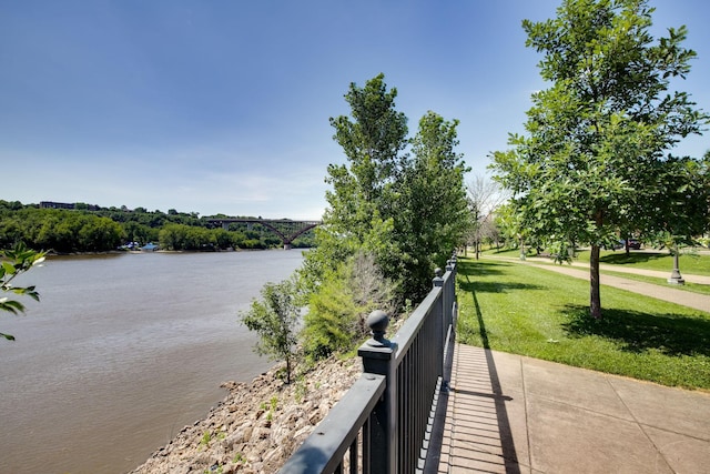 312 Spring St Unit 309, Saint Paul, MN 55102 - water view
