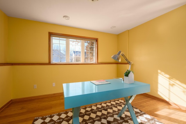 office area featuring wood-type flooring