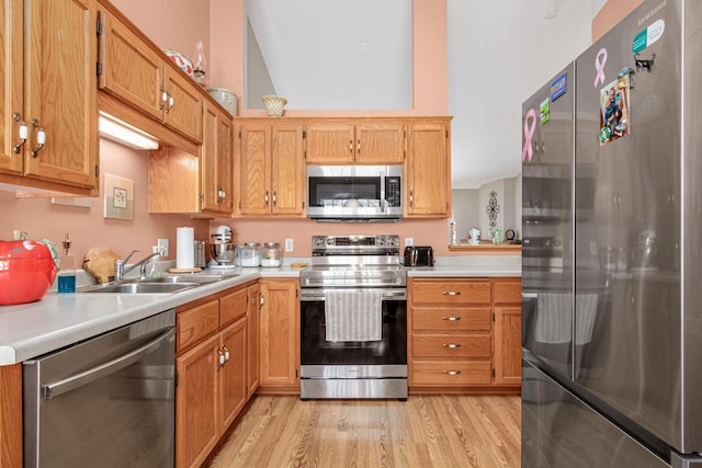 kitchen featuring sink, light hardwood / wood-style floors, and appliances with stainless steel finishes