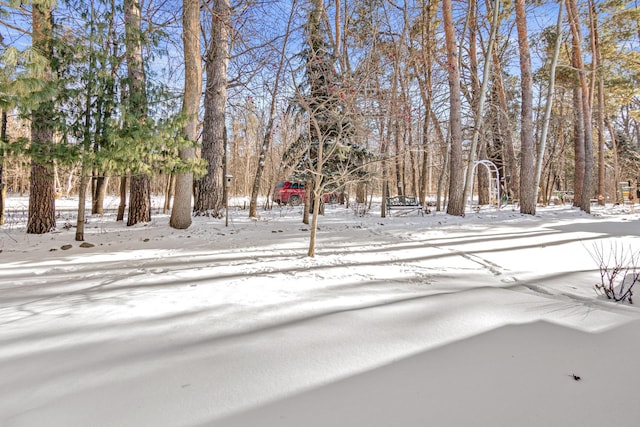 view of yard covered in snow