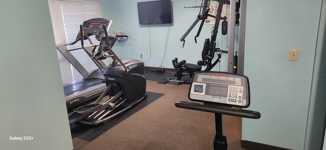 workout area featuring carpet flooring