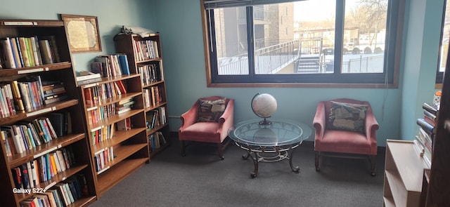 sitting room with carpet floors