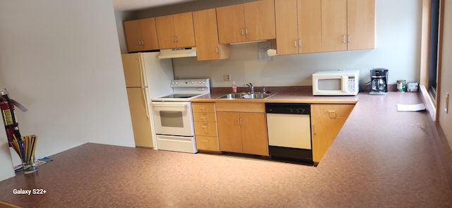 kitchen with sink, light brown cabinets, and white appliances