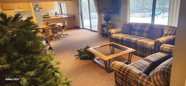 view of carpeted living room