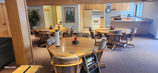 view of carpeted dining area