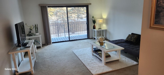 4100 Parklawn Ave Unit 118, Edina, MN 55435 - living room with carpet flooring