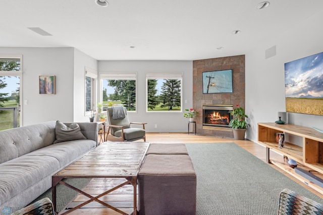 living room featuring a fireplace, light hardwood / wood-style floors, and a healthy amount of sunlight