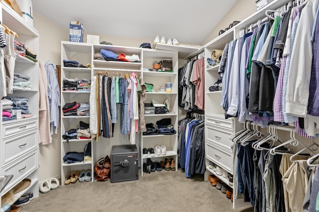 spacious closet with light colored carpet