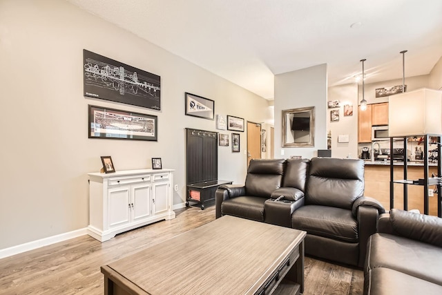 living room featuring light hardwood / wood-style floors