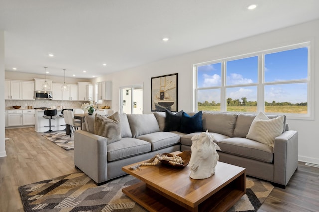 living room featuring light hardwood / wood-style flooring