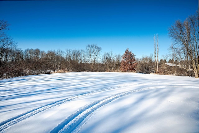 view of yard covered in snow