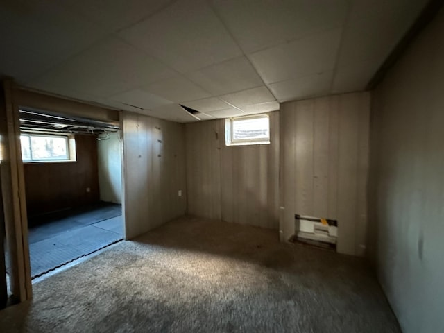 basement featuring a healthy amount of sunlight and wooden walls