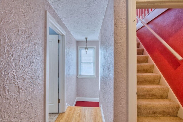 hallway with a textured ceiling and hardwood / wood-style flooring