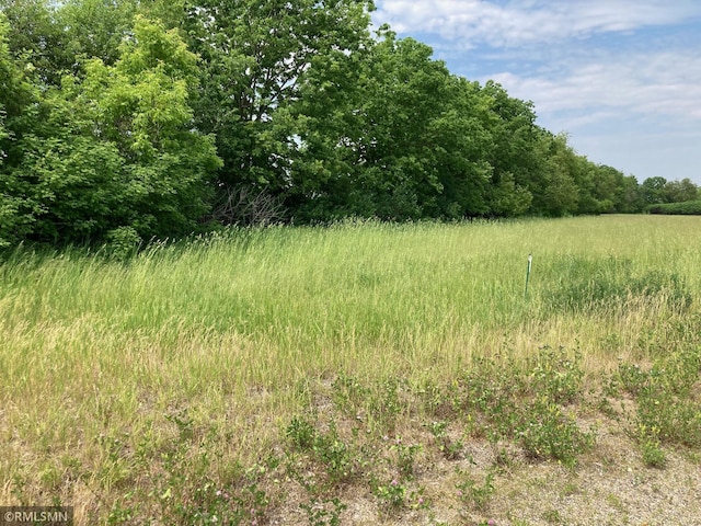 PARCELB 306th St, Florence Twp MN, 55026 land for sale