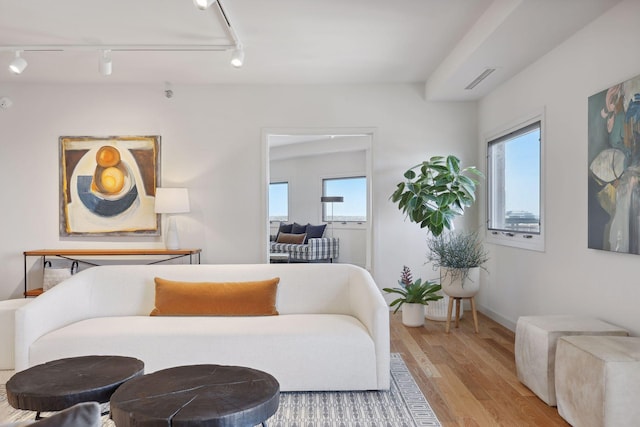 living area featuring rail lighting, light wood-type flooring, and a wealth of natural light