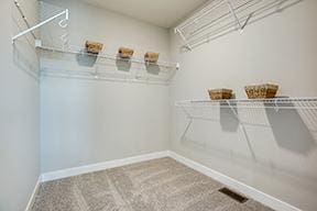 walk in closet featuring carpet