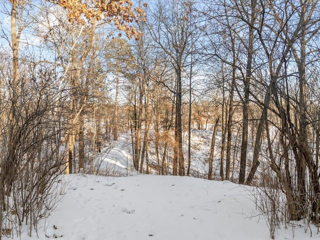 view of snowy landscape