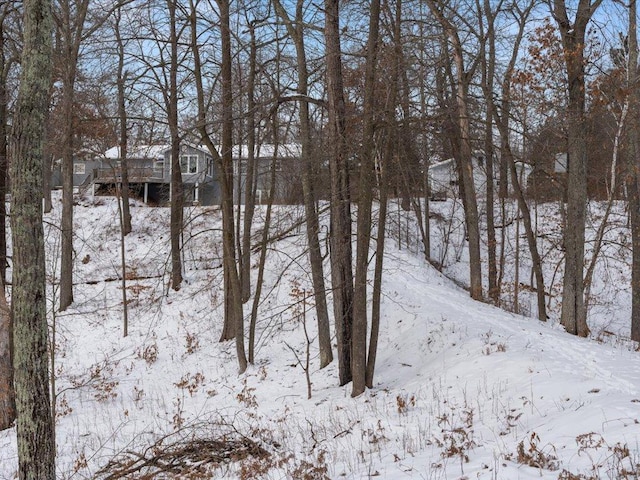 view of snowy landscape