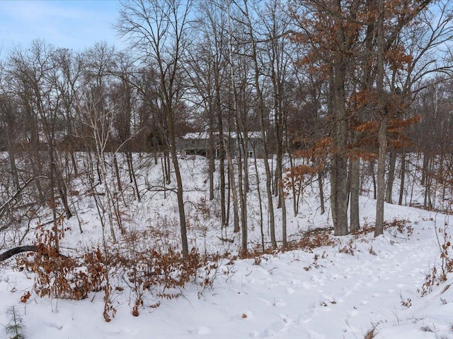 view of yard covered in snow