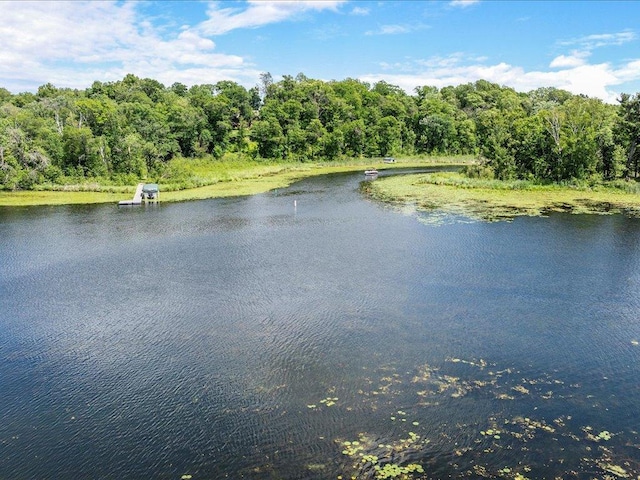 7966 Lost Lake Rd, Lake Shore, MN 56468 - photo 31