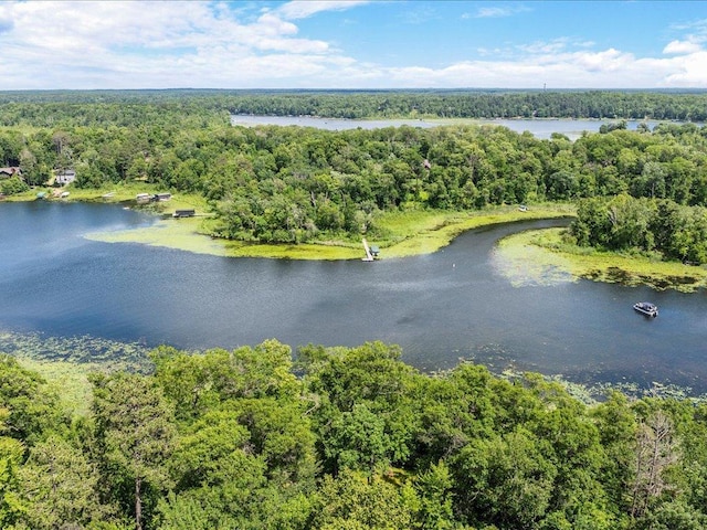 7966 Lost Lake Rd, Lake Shore, MN 56468 - photo 33
