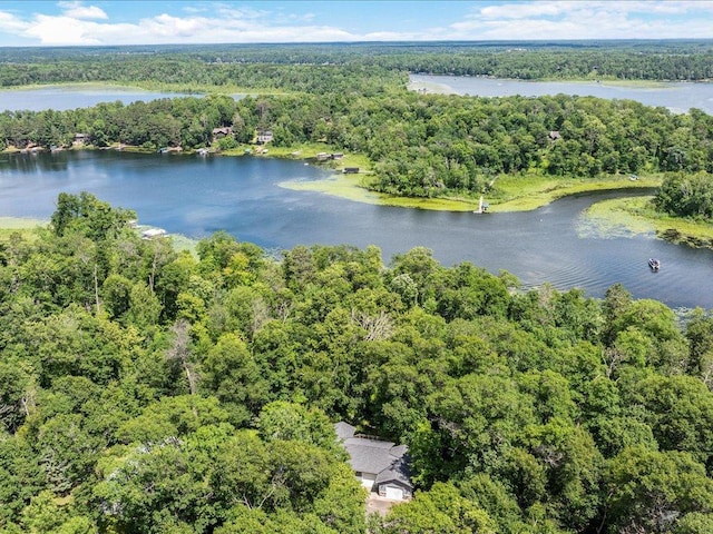 7966 Lost Lake Rd, Lake Shore, MN 56468 - photo 34