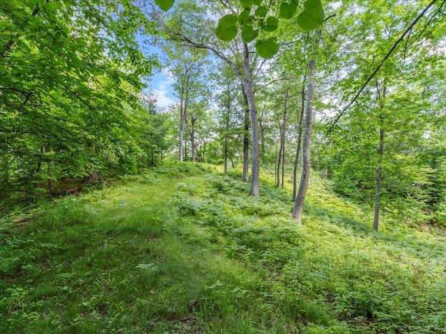 7966 Lost Lake Rd, Lake Shore, MN 56468 - photo 38