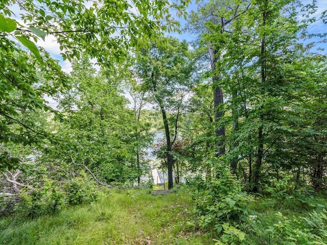 7966 Lost Lake Rd, Lake Shore, MN 56468 - photo 41