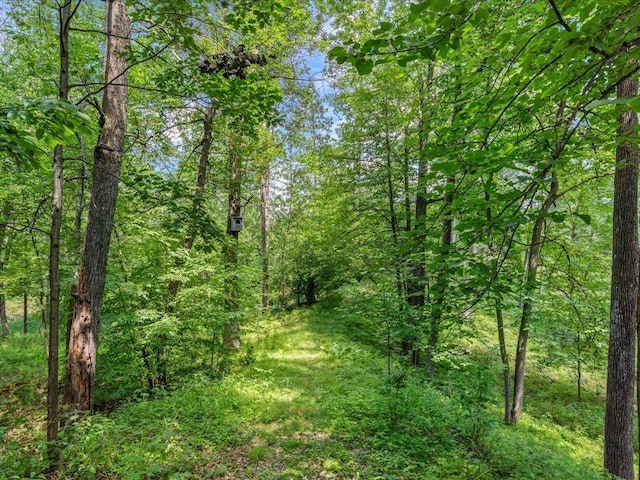 7966 Lost Lake Rd, Lake Shore, MN 56468 - photo 43