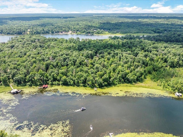 7966 Lost Lake Rd, Lake Shore, MN 56468 - photo 44
