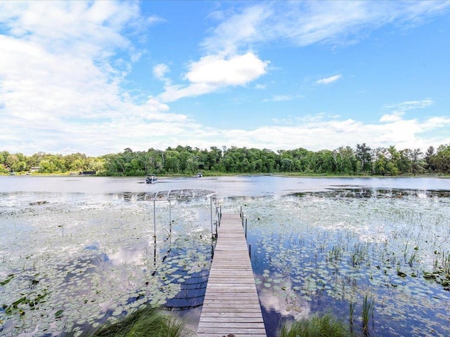 7966 Lost Lake Rd, Lake Shore, MN 56468 - photo 2