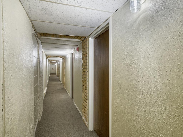 hall with a paneled ceiling and carpet floors