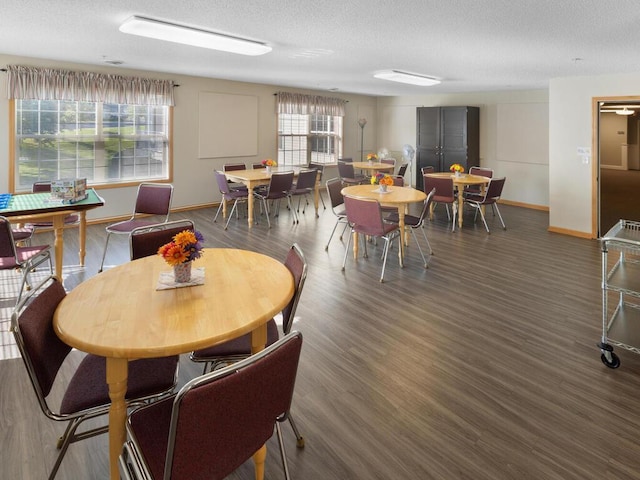 dining space featuring a healthy amount of sunlight, a textured ceiling, and dark hardwood / wood-style floors