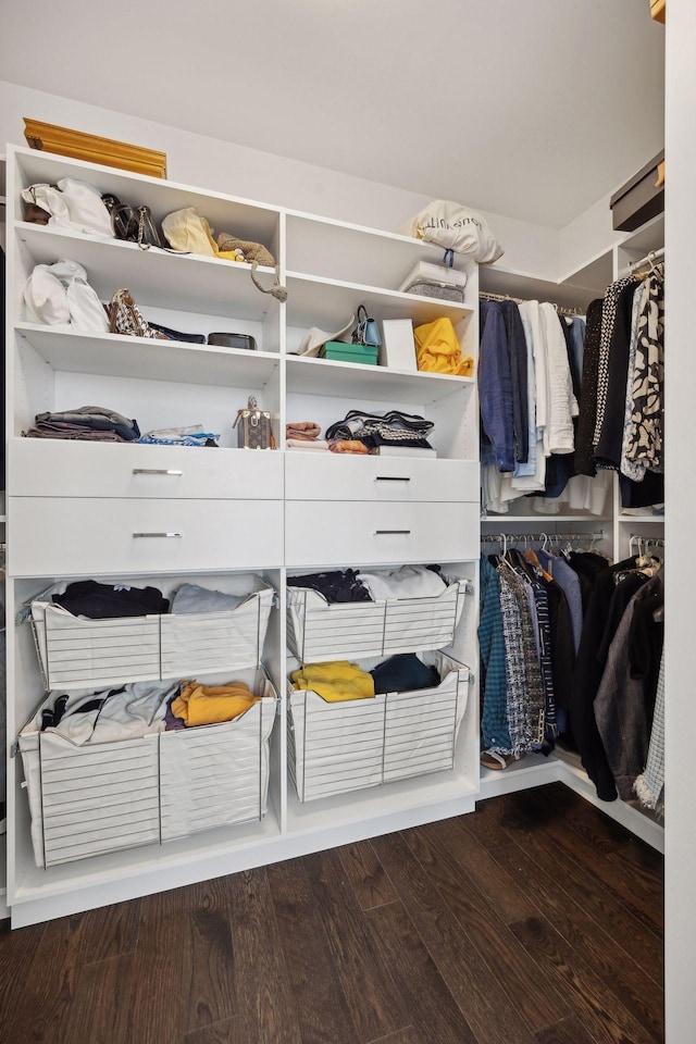 spacious closet featuring hardwood / wood-style floors