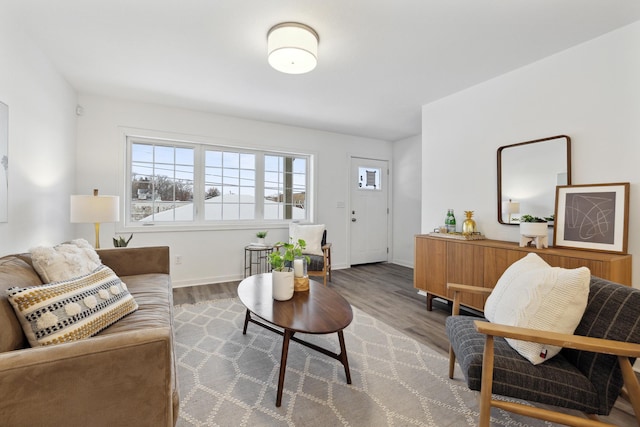 living room featuring hardwood / wood-style floors
